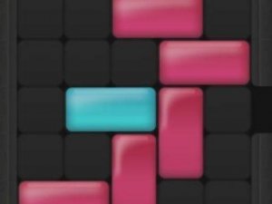 Move Block Puzzle Game