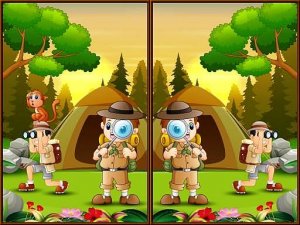 Spot 5 Differences Camping Puzzle Game