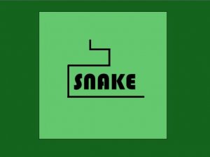 Simple Snake Online Game