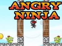 Angry Ninja Online Game