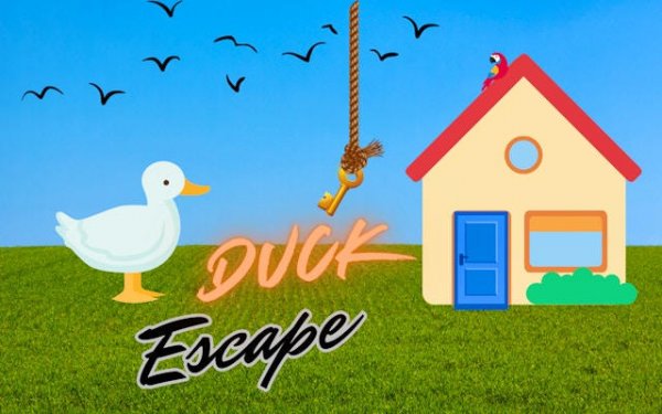 Duck Escape: Key Quest Adventure
