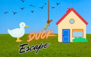 Duck Key Quest: Puzzle Adventure