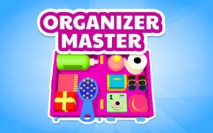 Organizer Master 3D Puzzle Game Online