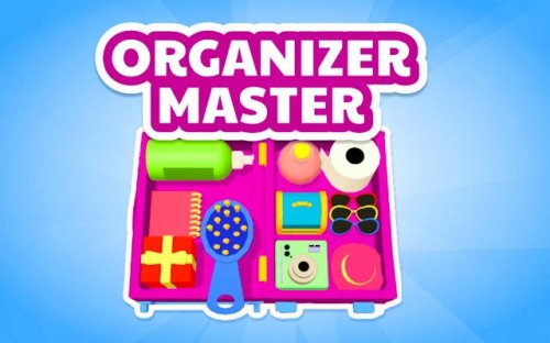 Organizer Master 3D Puzzle Game