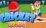 Cricket Craze: Arcade Cricket Game