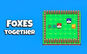 Foxes Together: Cooperative Puzzle Adventure Online Game