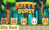 Kitty Burst Puzzle Game