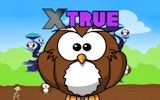 Xtrue: Fourth Level Challenge Puzzle Game