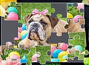 Animal Photo Puzzle Challenge